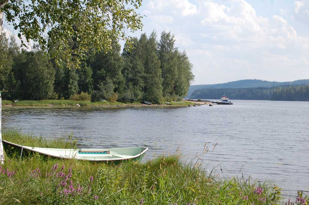 Nimismiehen rantaa Forsvikin lahdesta etelään päin.