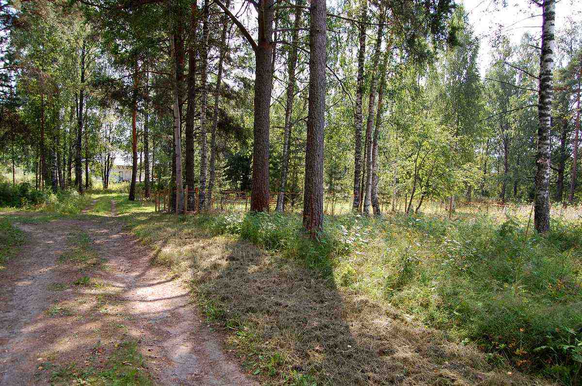 Näkymä talon B316 kohdalta etelään suuntaan. Lammasaidan paikalla, kuvan oikeassa reunassa, sijaitsi ennen talo B317. Lampaat ovat siten palanneet pukkimäelle ainakin osittain lähes 100-vuoden jälkeen. Pohjoispuolella talossa asuivat Julius Närhi ja sittemmin Kautto-niminen mies, jolla oli poikia Aarne ja Pauli sekä August Sipponen ja Eric Carlson. Talon eteläpuolella asuivat Liimataiset sekä sittemmin Tiitiset. Perällä asuivat vielä Hytöset ja heidän jälkeensä Hyytiäiset. Myöhemmin talon pohjoispään koillisnurkalla asuivat Lassi ja Helvi Sipponen perheineen. Heidän jälkeensä nurkalle muutti Arvi Nyyssönen, joka oli keittäjänä sellutehtaalla. Nurkan yläkerran asunnossa asui Toivo ja Kaisa Savelan perhe. Talon pohjoispään luoteisnurkan alakerrassa asuivat Toivo ja Jenny Laukkasen perhe. Heidän muutettua lähellä Piilolanniemeä sijainneeseen Ränssin taloon nurkalle muutti Sipposen perhe samasta talosta. Sipposten yläkerrassa asui Nupsu-Matiksi kutsuttu mies Tyyne-vaimonsa kanssa. Talon eteläpään kaakkoisnurkalla asui ainakin Aulis Honkosen perhe, jonka vaimo Liisa oli monta vuotta työssä Kuhnamon saunan kassalla ja sitemmin saunottajana. Viereisellä eteläpään lounaisnurkalla asuivat ensin Mäkiset ja sitten Arvo Kivi perheineen.