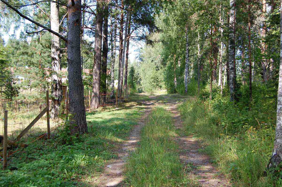 Näkymä talojen B317 ja B311 välistä pohjoiseen. Talossa B311 asuivat Mäkiset ja samalla paikalla myöhemmin Puttosen perhe ja sitten vielä Niskalat. Sen jälkeen juoksijanakin tunnettu Leo Lehto. Edelleen talossa asuivat sivutoiminen teurastaja Nike Sorri ja Otto Hiekkala perheineen. Myöhemmin talon luoteisnurkalla asui Ampe Vainikainen perheineen ja heidän naapurinaan koillisnurkalla Kinnuset. Talon eteläpään kaakkoisnurkalla asuivat ainakin Ahoset ja heillä naapurinaan samalla puolella taloa Otto Hiekkalan poika Heikki Hiekkala perheineen.