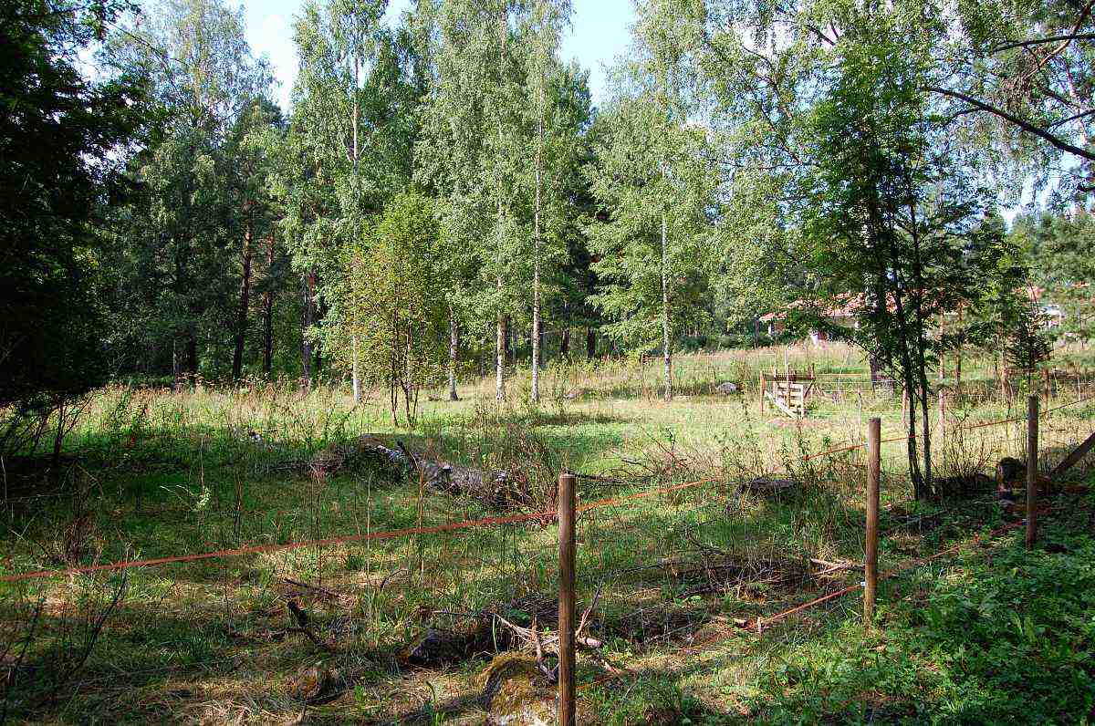 Tällä paikalla sijaitsi ennen Alapukkimäen talo B317.