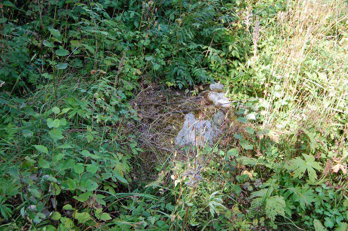 Lähes alikasvillisuuteen peittynyt talon B316 pihakivi kertoo menneestä ajasta ja elämästä Pukkimäellä.