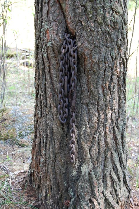 Näkymä talon B316 kohdalta etelän suuntaan. Alempana kuvan vasemmassa reunassa oli ennen talon B317 länsireuna ja oikeassa reunassa talo B320. Jälkimmäisessä asuivat pohjoispäässä taloa Matti Paatela, jonka vaimo Ida möi kotikaljaa. Seinän takana asuivat Niemelät ja Tiihoset. Eteläpäässä asuivat Lehikoiset ja samalla paikalla myöhemmin vaatturi Nyrönen. Lounaisnurkalla asuivat lisäksi Kaupit. Matikaiset ja Leväset ovat myös asuneet talossa. Myöhemmin talon eteläpäässä asuivat Honkoset ja Alpo Kumpulainen perheineen sekä koillisnurkalla Pentti Tourunen äitinsä kanssa. Luoteisnurkalla yläkerrassa asui Olavi Oksanen perheineen ja heidän alakerrassaan Matti ja Pirkko Koivu kuuden poikansa kanssa. Oksaset muuttivat myöhemmin Raumalle. Koillisnurkalla yläkerrassa asui Väinö Kautto perheineen ja alakerrassa ensin Hyytiäiset ja myöhemmin Väyryset. Talo B320 poikkesi yläkerran rakenteidensa puolesta paljon muista Pukkimäen taloista. Muistikuvan mukaan kynttilästä syttynyt tulipalo vaurioitti sen yläkerran asuntoja siinä määrin, että talon yläosan huoneistot piti rakentaa uudelleen. Talon B320 rakenne-ero muihin Pukkimäen keltaisiin taloihin verrattuna näkyi selvästi.