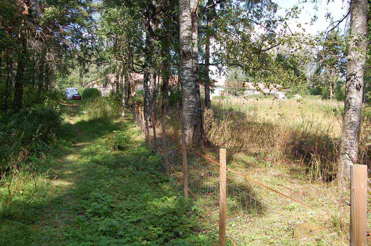 Pukkimäkeä halkoi ennen pohjoinen-etelä -suunnassa kuusi hiekkatietä nykyisen Terveyskadun ja Lönnrotinkadun välisellä alueella. Kuvan poluksi kaventuneen tielinjan oikealla puolella sijaitsi ennen talot B316 ja B317 ja vasemmalla puolella talo B320.