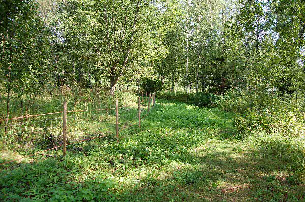 Tällä paikalla sijaitsi ennen talon B317 eteläinen puoli piharakennuksineen.