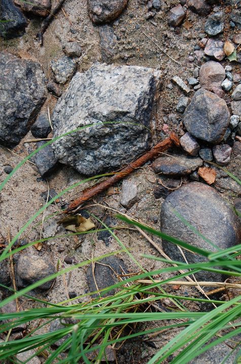 Kiramon puuosien kiinnitykseen käytettiin aikanaan vahvoja takovalmisteisia rautanauloja. Tälläisiä löytöjä saattoi ennen tehdä Kuhnamon rannoilta vähällä etsimisellä.