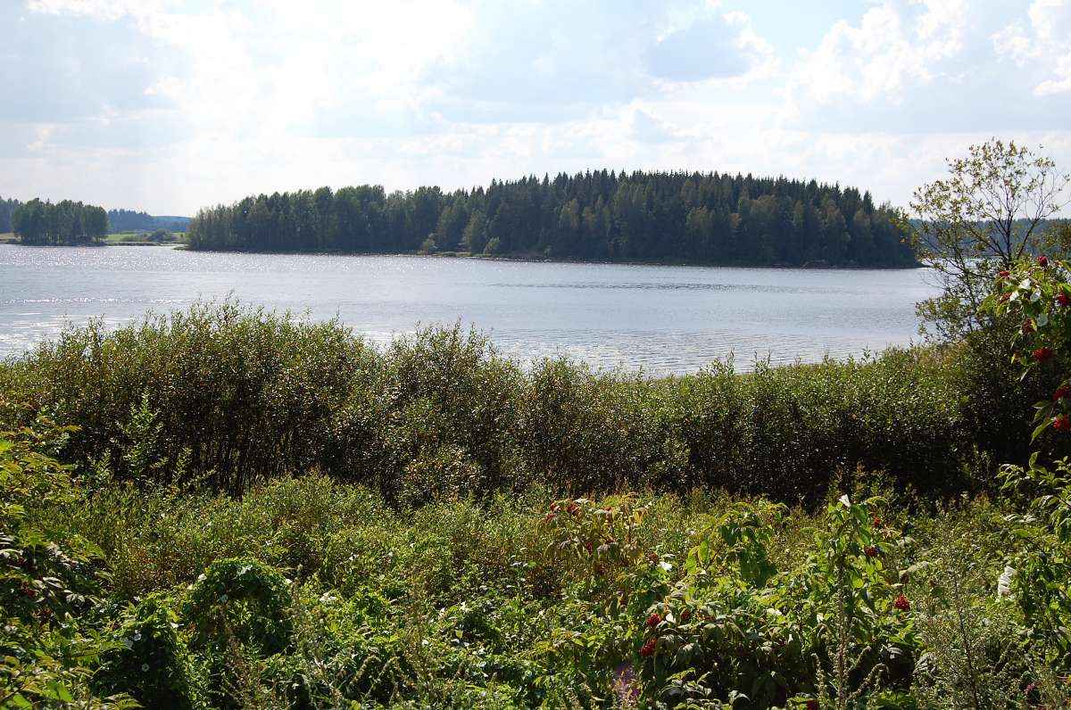 Heikkilänsaari Forsvikin lahdesta päin.