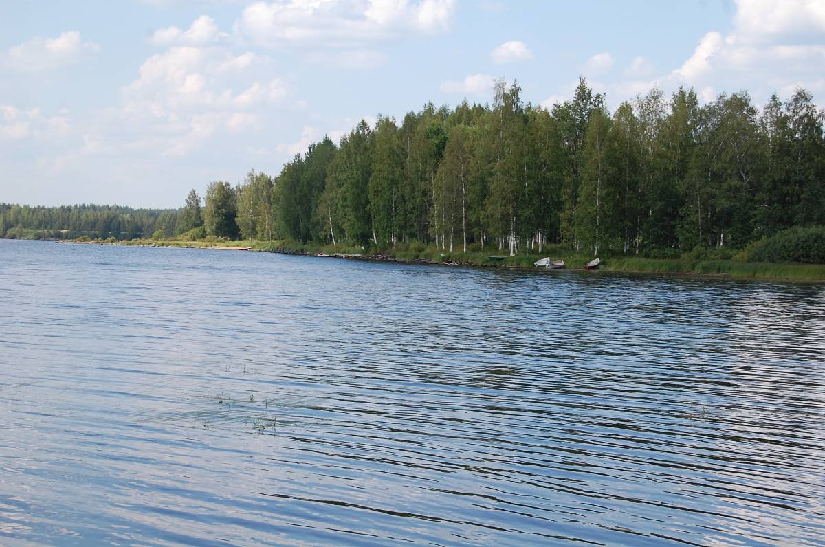 Korkean kiramon ranta-aluetta Piilolanniemestä päin. Taustalla näkyy Sinkkirantaa.