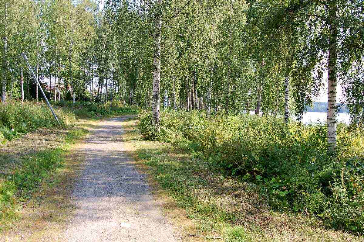 Korkean kiramon ranta-aluetta halkoo nykyisin itä-länsi suunnassa vehman kevyenliikenteen väylä.