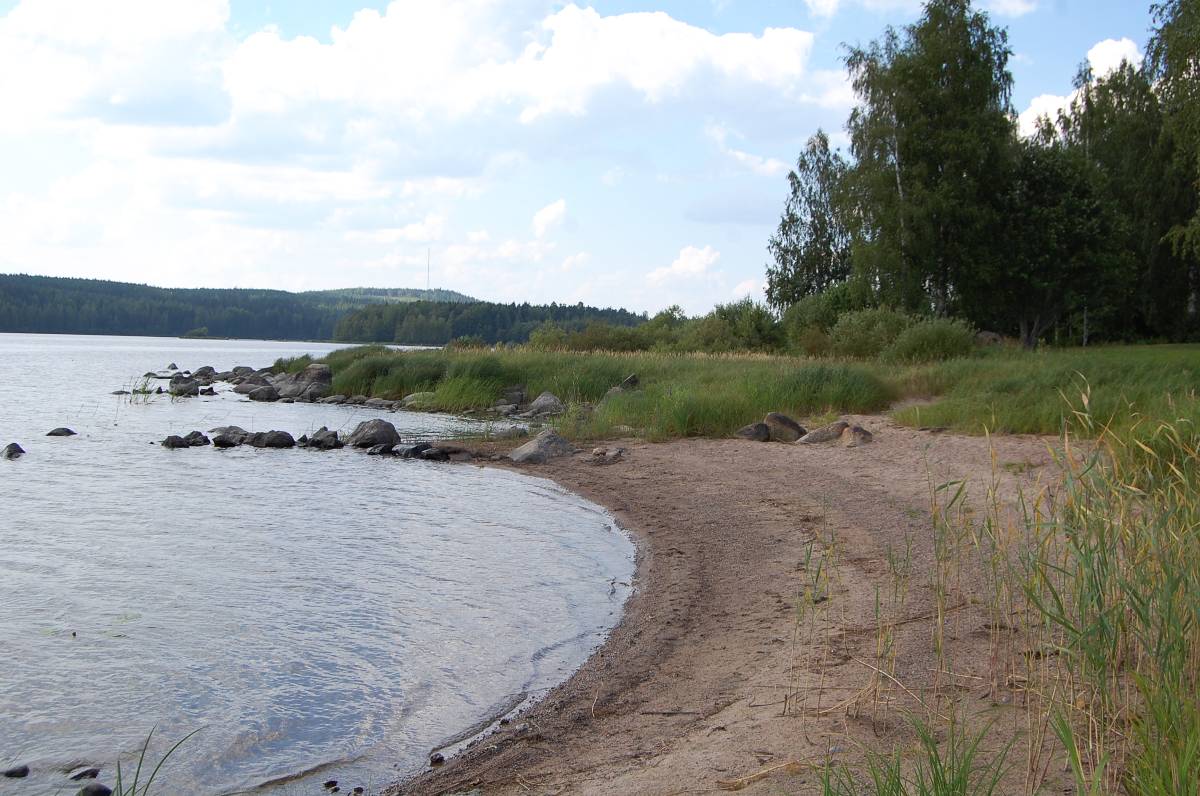 Sinkkirantaa Laajaniemen suuntaan. Ranta oli 1960-luvulle saakka suosittu uimaranta Pukkimäellä. Kuhnamo saastui sen jälkeen niin pahoin, että ranta oli uimakelvoton lähes 30-vuotta. Nykyisin ranta-alue on kunnostettu ja järvessä voi taas uida.