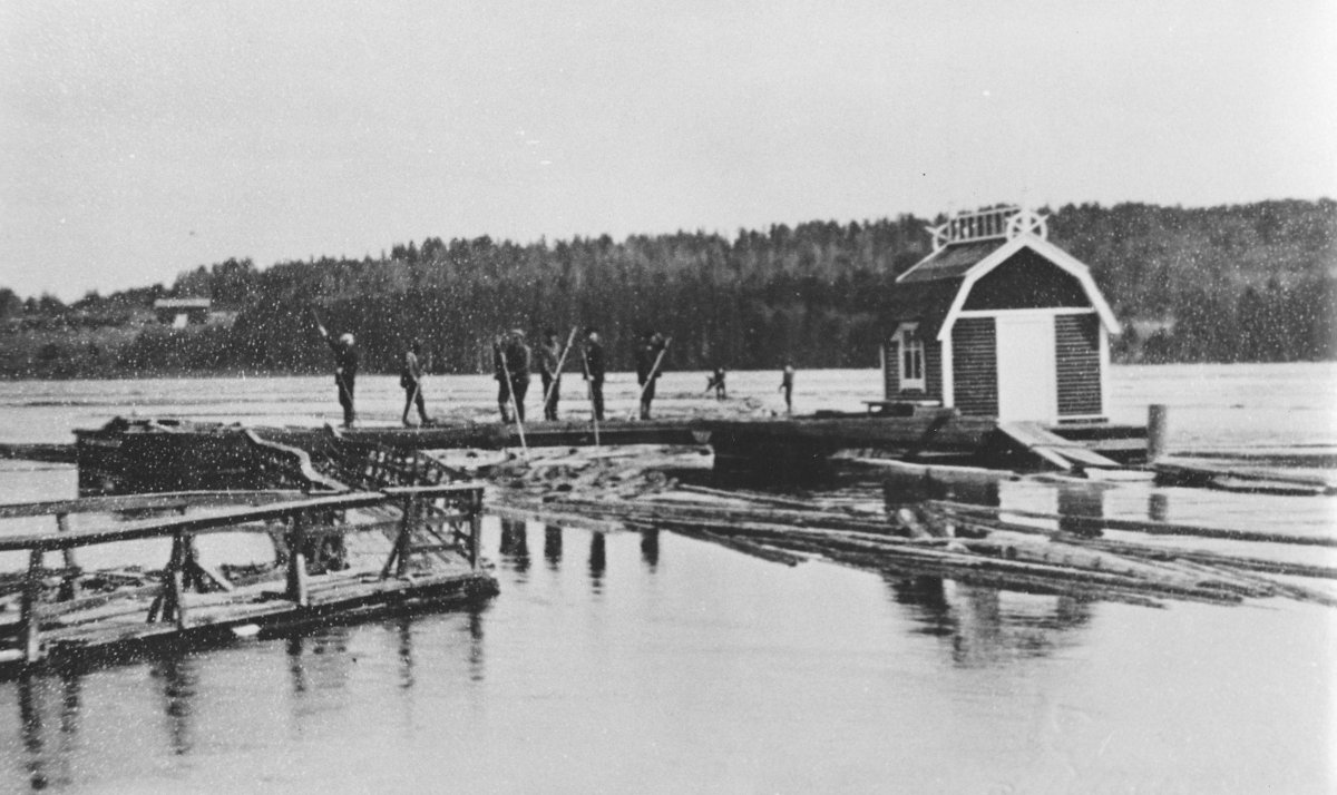 Tukkien lajittelua Äänejärvellä.