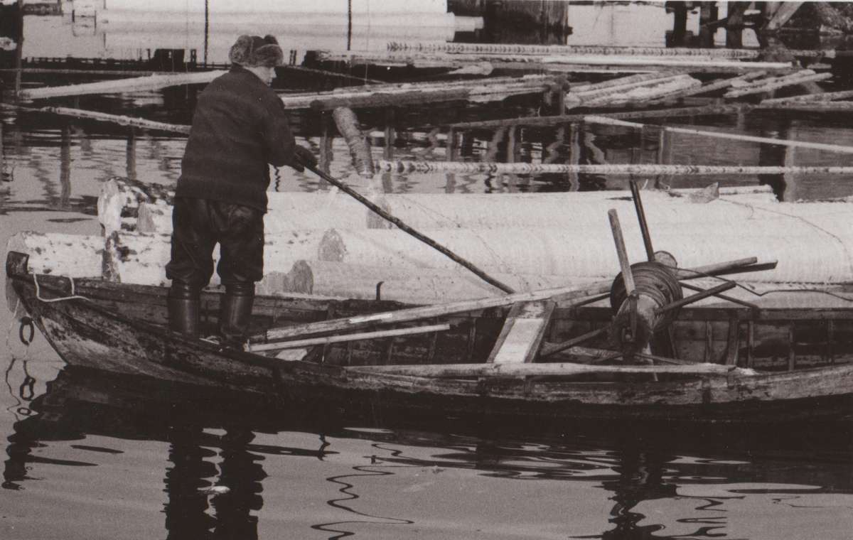 Keluveneellä ohjataan tukkipuita sahan edustalla.