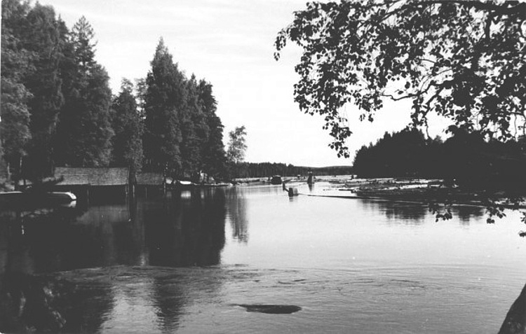 Häränvirtaa Äänejärven suulta pohjoiseen vuodelta 1955.