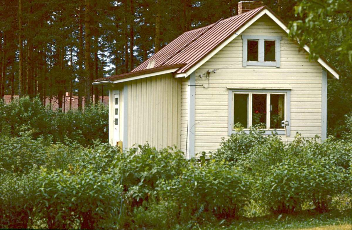 Heikki Kauton talo pieni talo nykyisen Snellmaninkadun varrelta. Talossa oli alunperin vain yksi huone, mutta sitä laajennettiin myöhemmin kamarilla. Heikin vaimo oli nimeltään Lempi ja heillä oli lapsia Aili, Toivo, Aino, Viljo, Vilho Matias, Hilja, Toini, Yrjö ja Väinö. Heikki Kautto oli Hakalan talon poikia Honkolasta.