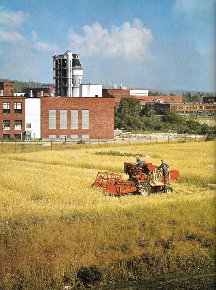 Vielä 1970-luvulla paperitehtaan länsipuolella saattoi törmätä näin idylliseen näkyy.