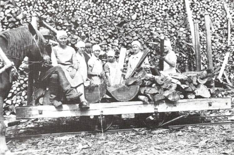 Naiset pinoamassa halkoja eli listimässä sormiaan tehtaan halkovarastolla Äänejärven rannassa vuonna 1932. Halot tuotiin halkovarastolta käyttökohteisiin kuvan hevosvetoisilla vaunuilla. Naiset pinosivat halot kahdeksan metrin korkuisiin pinoihin ja työtä riitti, sillä tehtaalla poltettiin tuohon aikaan vuosittain noin 40000 pinokuutiometriä puuta.
