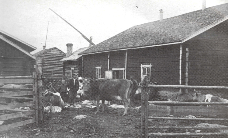 Pukkimäellä olleen entisen Topian eli Vahlmanin talon karjaa ja työväkeä vuoden 1920 tienoilla. Nautoja äänekoskelaisilla oli siihen aikaan noin 2500, joista lypsyikäisiä lehmiä noin 1700. Lisäksi alueella oli noin 2500 lammasta, lähes 900 sikaa ja sama määrä kanoja sekä muutama vuohi. Hevosia silloisessa Äänekosken kunnassa oli 588, joista varsaikäisiä 113. Maanviljelijöiden tai talonpoikien lisäksi myös kaupunkilaiset yrittivät pitää 1920-luvulla, ja vielä 1930-luvullakin, pihapiirissään sikaa ja lehmää, jotta läskiä ja maitoa olisi omasta takaa.