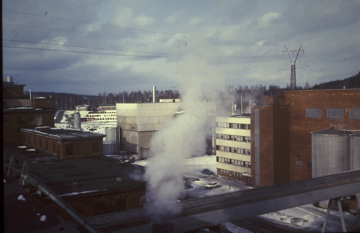 Rehuhiivatehdas ja kartonkitehdasta 1980-luvun alussa. Vasemmassa reunassa sulfiitin keittömöä, sihtiosasto ja toimistosiipi.