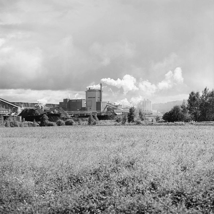 Sulfaattisellutehdasta Piilolanniemen pellolta 1970-luvulla.