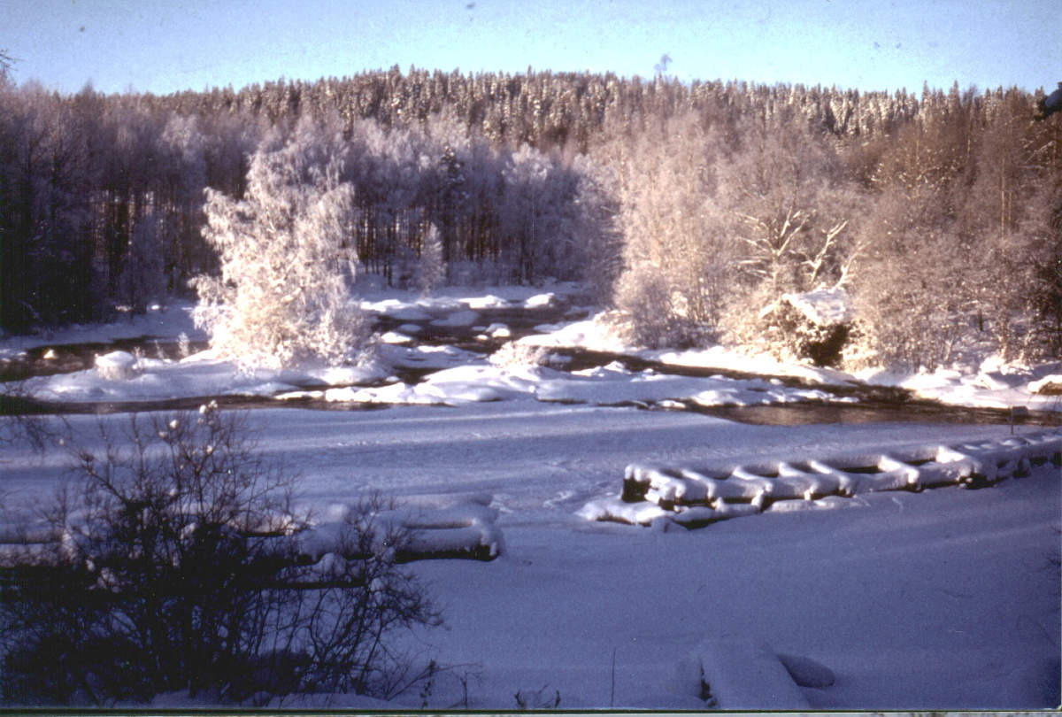 Hietamankosken talvea.