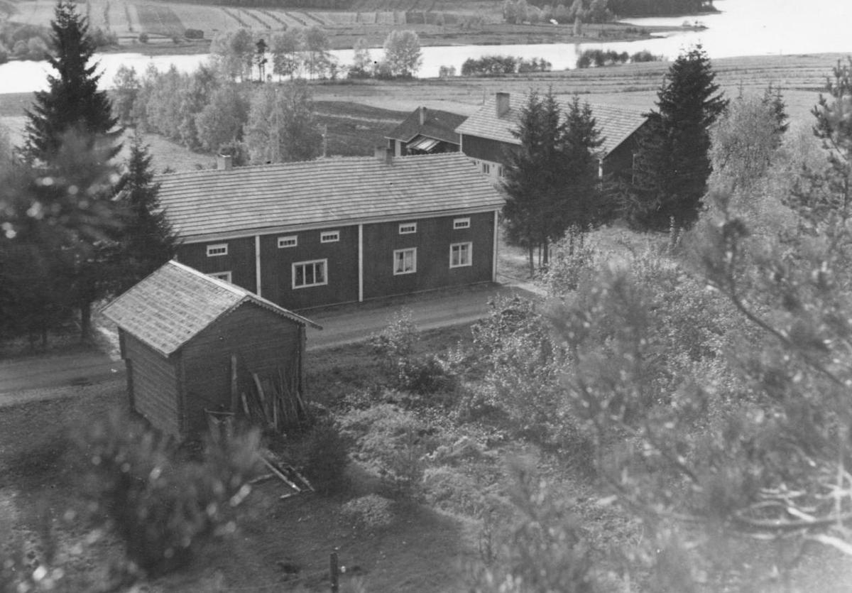 Laurilan talo Suojoen varrella vuonna 1952.