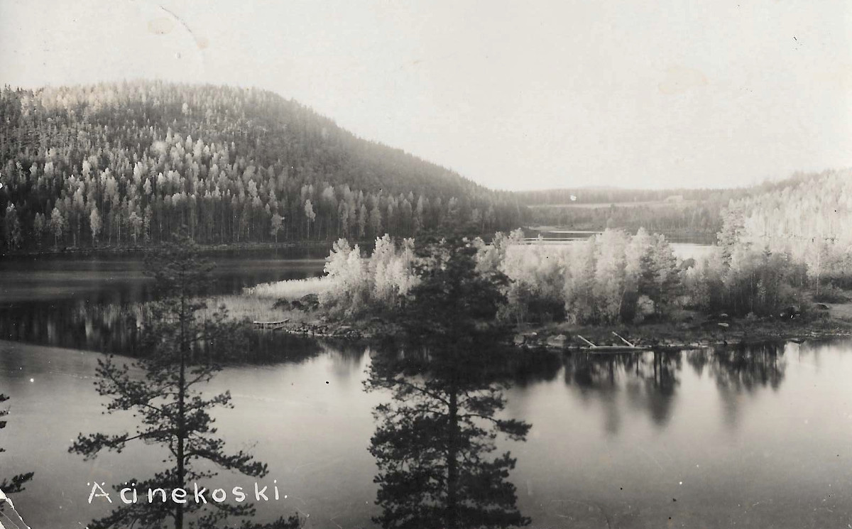 Tärttämäki ja Tärttälahtea Kuhnamon Kusikalliolta kuvattuna. Keskellä Kannanniemi, jossa Lindströmin sisarukset asuivat pitkään.