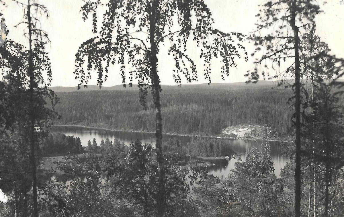 Kuhnamoa Tärttämäen päältä Kusikallion suuntaan.