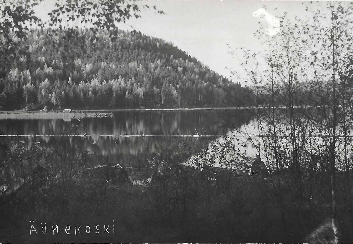 Tärttämäki ja Tärttälahtea. Vasemmassa reunassa Hapankivet.